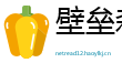 壁垒森严网